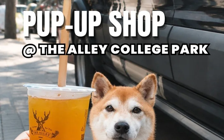 Halloween Pup Up Shop @ The Alley