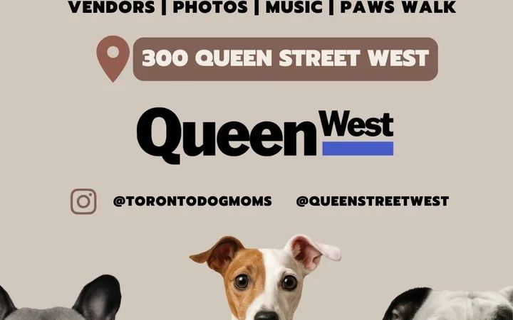 Barket Market: Queen Street West Edition