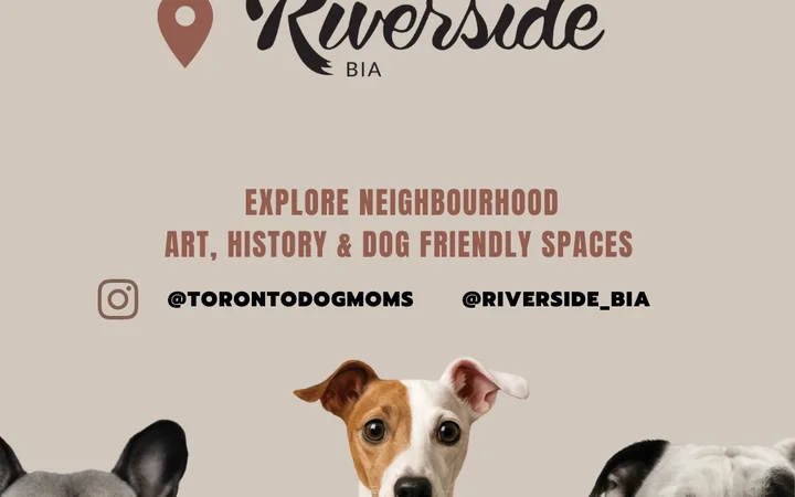 Toronto Dog Moms X Riverside BIA: Paws Walk
