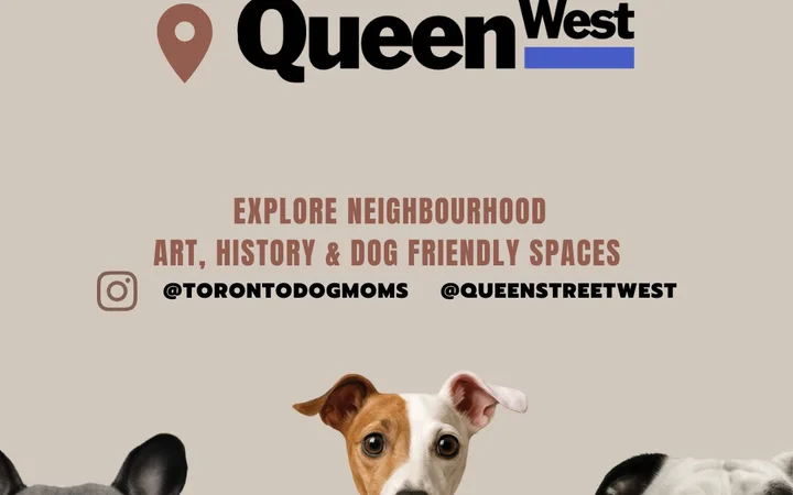 Toronto Dog Moms X Queen Street West BIA: Paws Walk