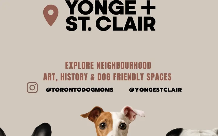 Toronto Dog Moms X Yonge + St. Clair BIA: Paws Walk