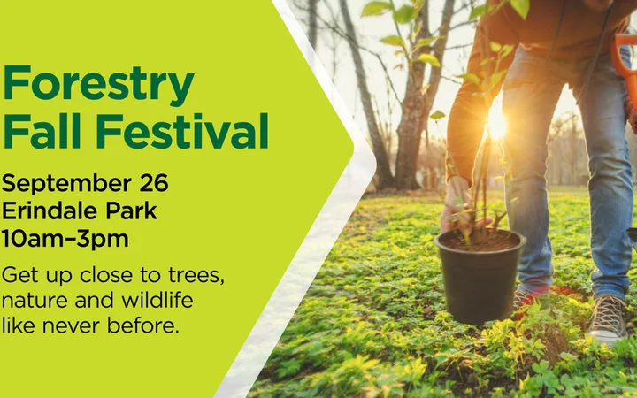 Forestry Fall Festival