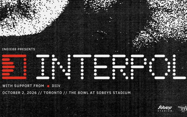 Interpol with support from DIIV