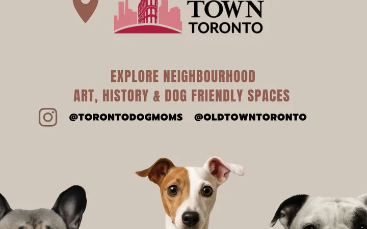 Toronto Dog Moms X Old Town BIA: Paws & Walk
