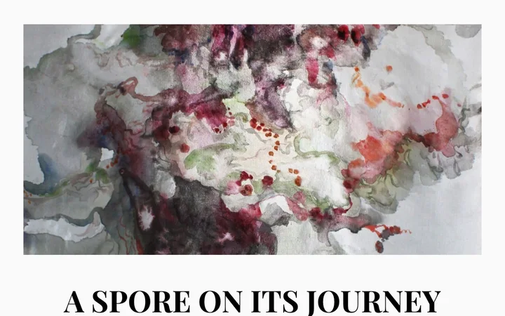 A Spore on its Journey