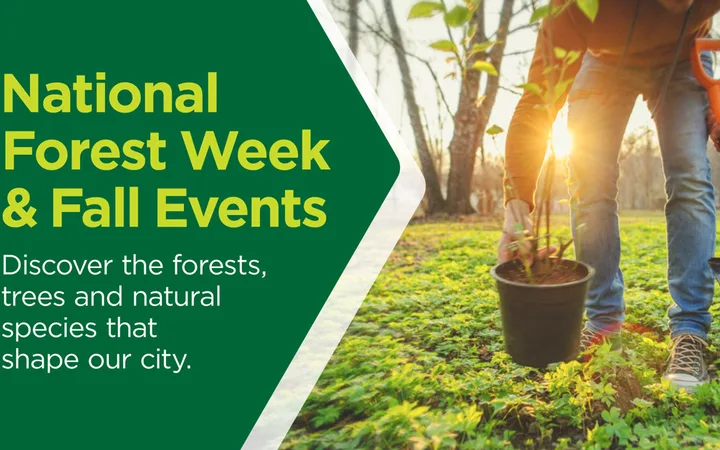 Tree Planting Events