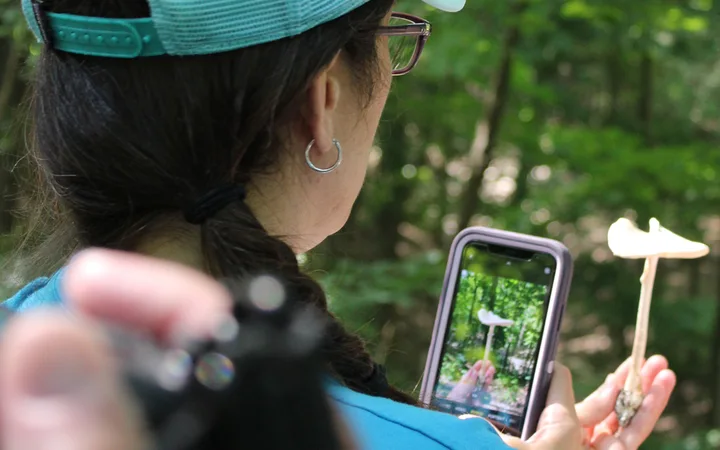Riverwood Summer BioBlitz