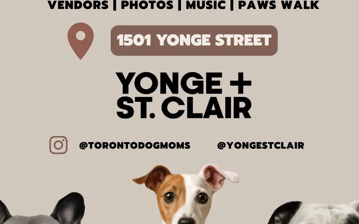 Barket Market: Yonge & St. Clair Edition