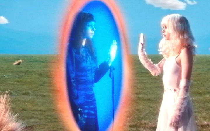 Imaginal Disk